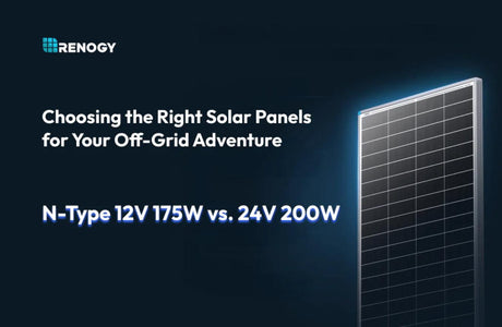 N-Typ-Solarmodule für autarkes Leben: 12V 175W & 24V 200W Varianten