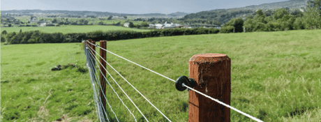 Landwirtschaft