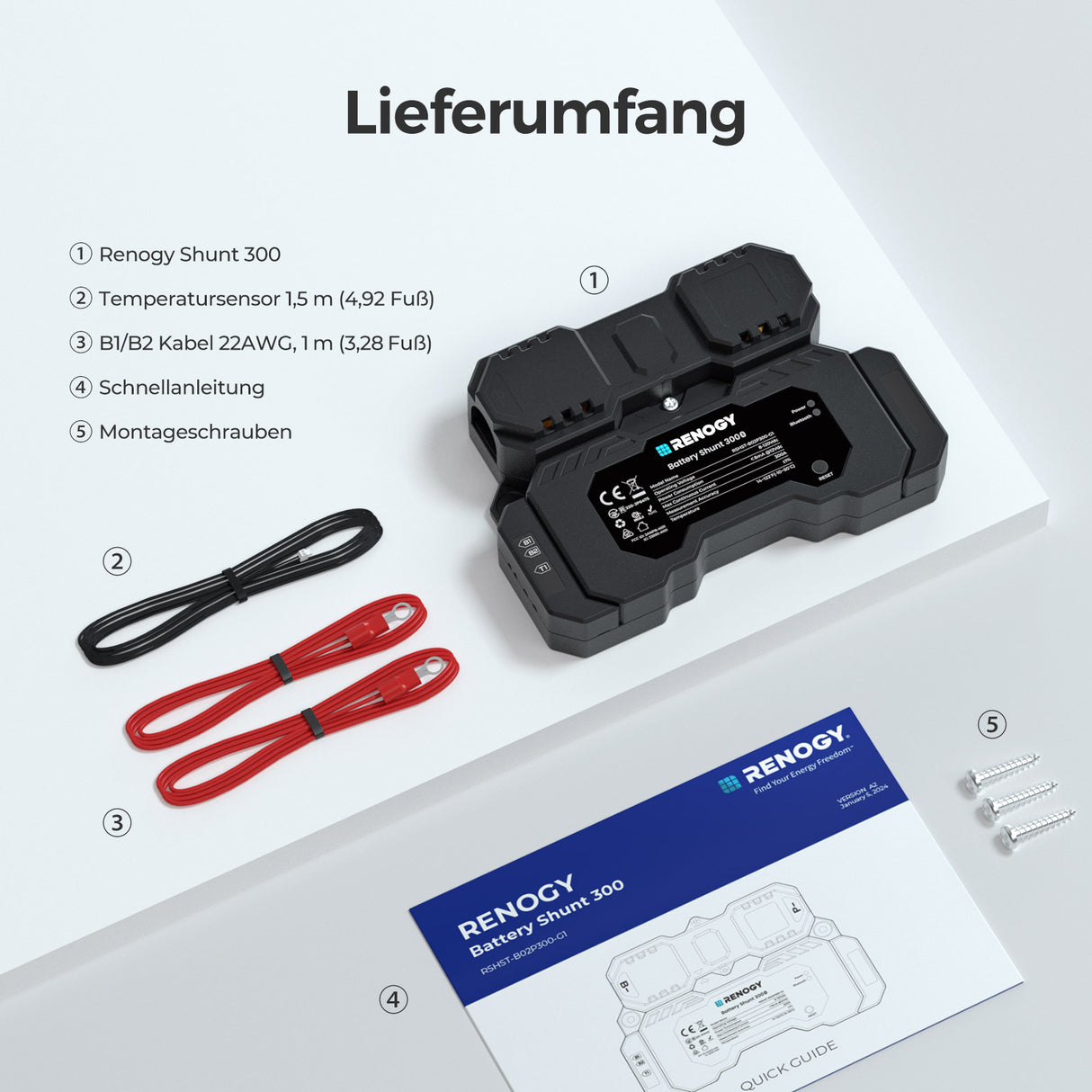 Renogy Batterie Shunt 300