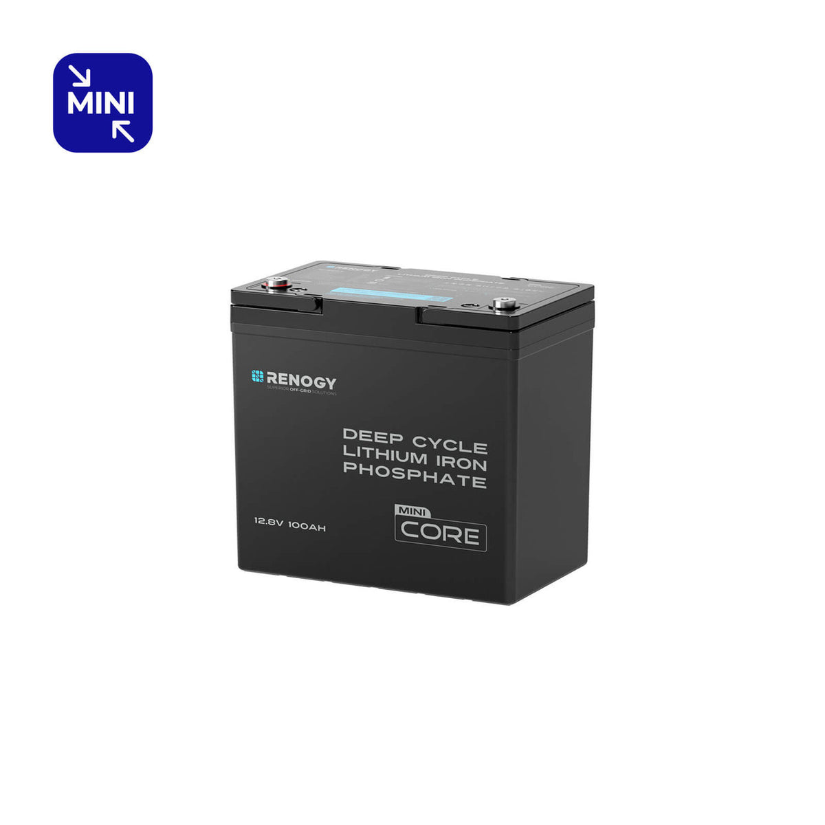 Renogys kleinste 12,8 V 100 Ah LFP-Batterie (Gruppe 22NF) nur 9,9 kg
