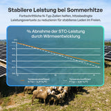 100W Bifaziales Solarmodul N-Typ