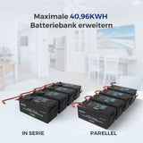 LiFePo4 12V 200Ah Lithium Batterie BMS 5000 Zyklen