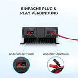 REGO 12V 60A DC-DC Batterieladegerät