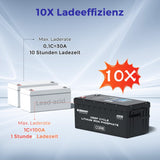 24V 100Ah  LiFePo4 Lithium Batterie mit Selbstheizung