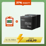 Core Mini - 12V 100Ah LiFePO4 Batterie