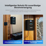 Pro 12V 3000W HF Wechselrichter Ladegerät