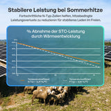 200W Bifaziales Solarmodul N-Typ