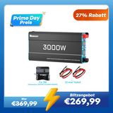 12V 3000W Wechselrichter Reine Sinuswelle