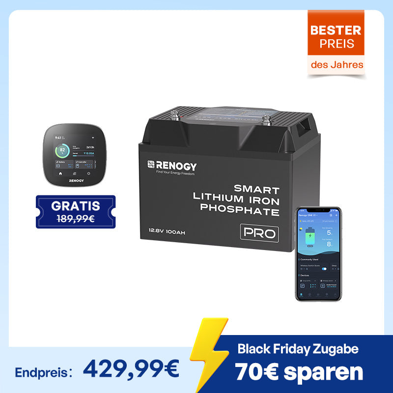 Pro 12V 100Ah LiFePO4 Batterie mit Bluetooth und Selbstheizung