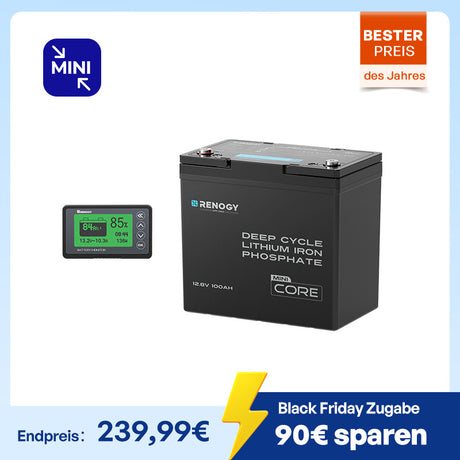 Core mini 12V 100Ah LiFePO4 Batterie