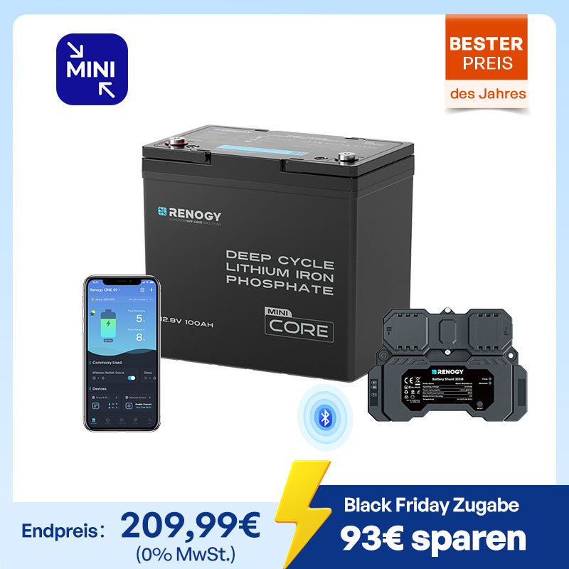 Core mini 12V 100Ah LiFePO4 Batterie