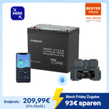 Core mini 12V 100Ah LiFePO4 Batterie