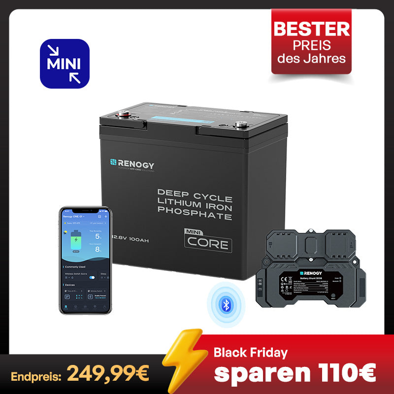 Core mini 12V 100Ah LiFePO4 Batterie