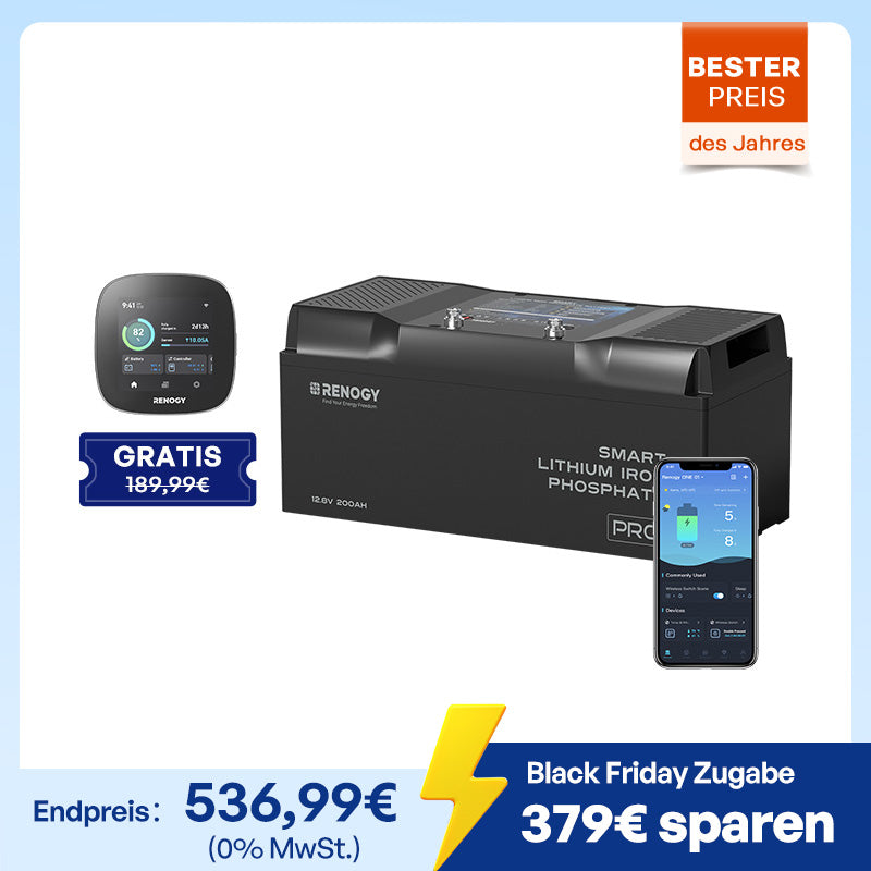 Pro 12V 100Ah LiFePO4 Batterie mit Bluetooth und Selbstheizung
