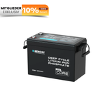 Core mini 12V 200Ah LiFePO4 Batterie mit Niedrigtemperaturschutz