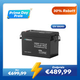 Core Mini - 12V 300Ah LiFePo4 Lithium Batterie