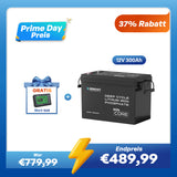 Core Mini - 12V 300Ah LiFePo4 Lithium Batterie