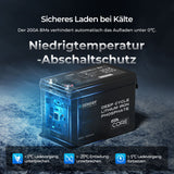 Renogy Core Series 12,8V 300Ah LiFePO4 Lithium Batterie niedrigtemperatur abschaltschutz