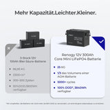 lithium batterie wohnmobil 300ah Intelligentes BMS mit Temperaturschutz
