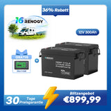 Core Mini - 12V 300Ah LiFePo4 Lithium Batterie