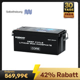 Core 12V 300Ah LiFePo4 Lithium Batterie mit Selbstheizung
