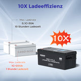 24V 25Ah LiFePo4 Lithium Batterie Smart BMS