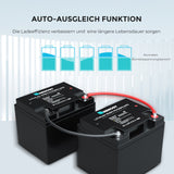 24V 25Ah Lithium-Eisenphosphat-Batterie