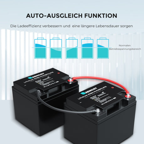 24V 25Ah Lithium-Eisenphosphat-Batterie