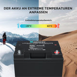 24V 25Ah Lithium-Eisenphosphat-Batterie
