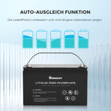 24V 50Ah Lithium-Eisenphosphat-Batterie