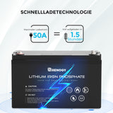 24V 50Ah Lithium-Eisenphosphat-Batterie