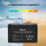 24V 50Ah Lithium-Eisenphosphat-Batterie