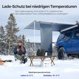 Rover Lite 12V/ 24V/ 36V/ 48V 60A MPPT Solarladeregler