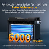 12V 400Ah LiFePo4 Lithium Batterie Rego Serie