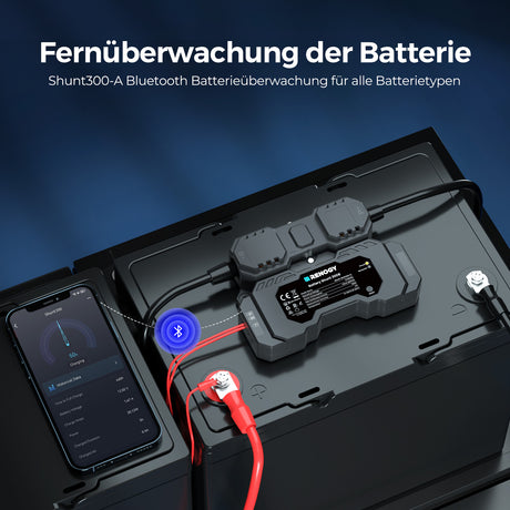 Renogy Batterie Shunt 300