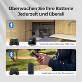 Renogy Batterie Shunt 300