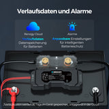 Renogy Batterie Shunt 300