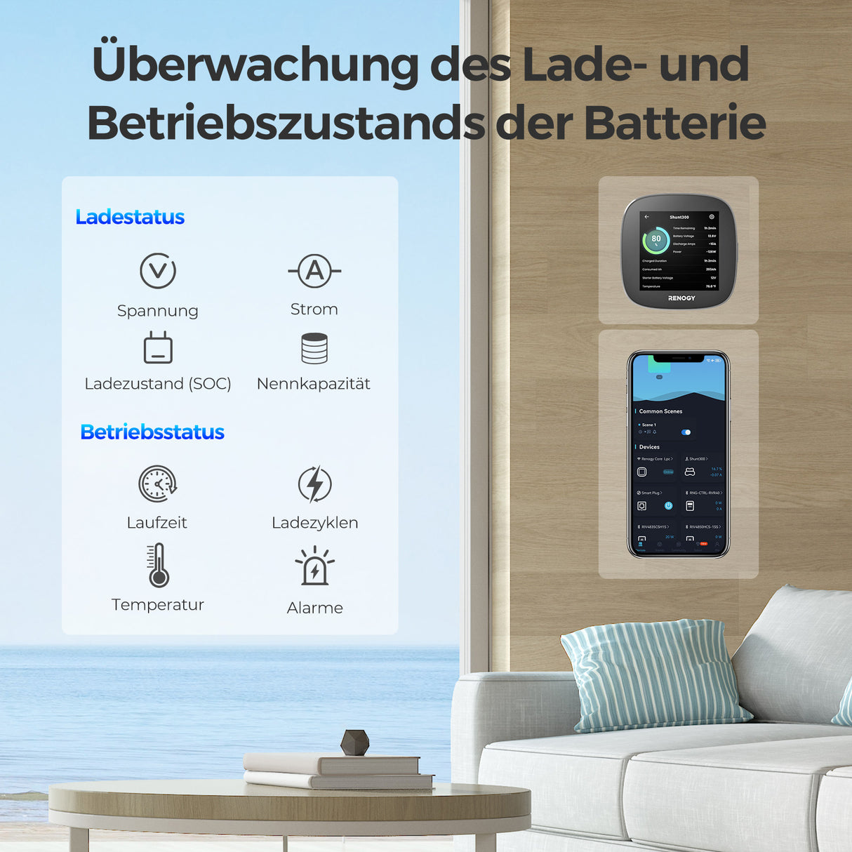 Renogy Batterie Shunt 300