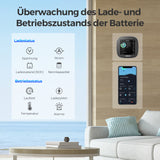 Renogy Batterie Shunt 300