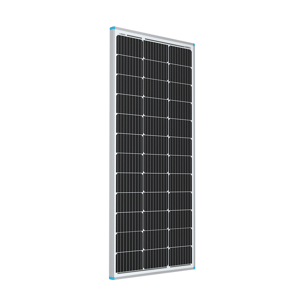 Renogy 100W Mono Solarmodul
